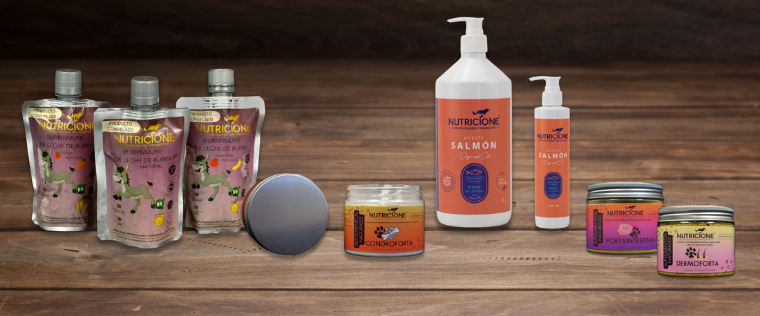 Guía práctica de suplementos naturales para perros: cuándo usarlos y cuándo no