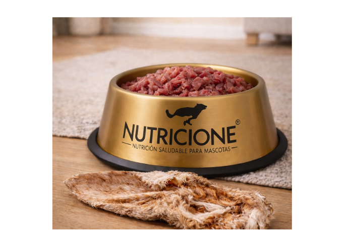 Guía completa para alimentar con BARF paso a paso