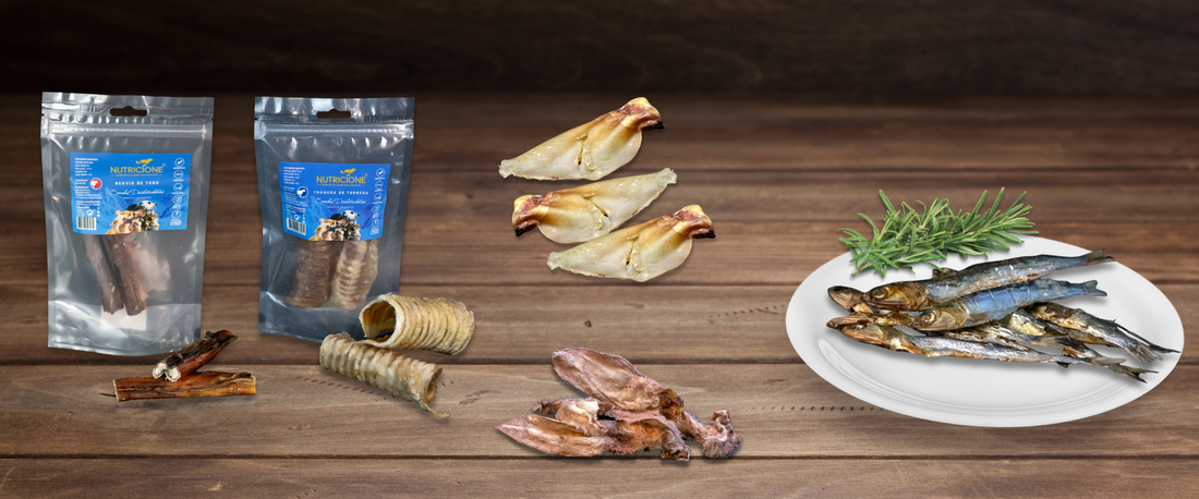 🦴 Cómo usar snacks naturales sin desequilibrar la alimentación de tu perro o gato