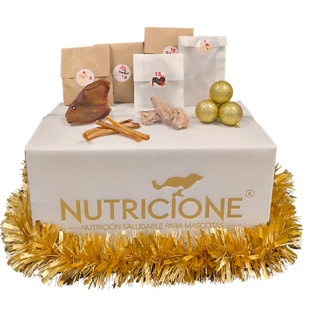 Calendario de Adviento Nutricione 2025 – 24 Días · 24 Sorpresas