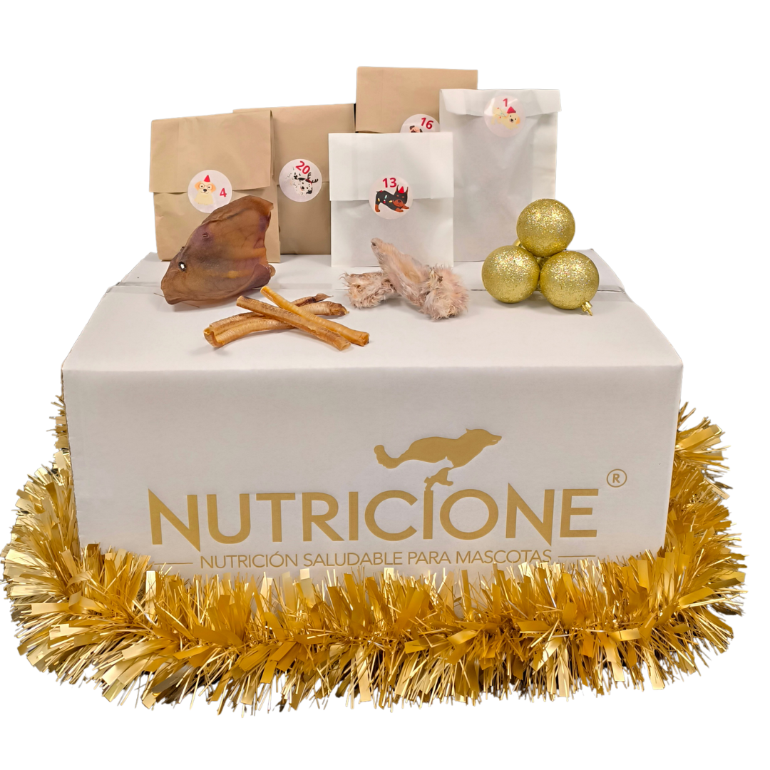 Calendario de Adviento Nutricione 2025 – 24 Días · 24 Sorpresas