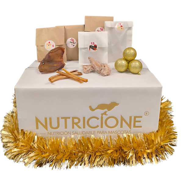 Calendario de Adviento Nutricione 2025 – 24 Días · 24 Sorpresas