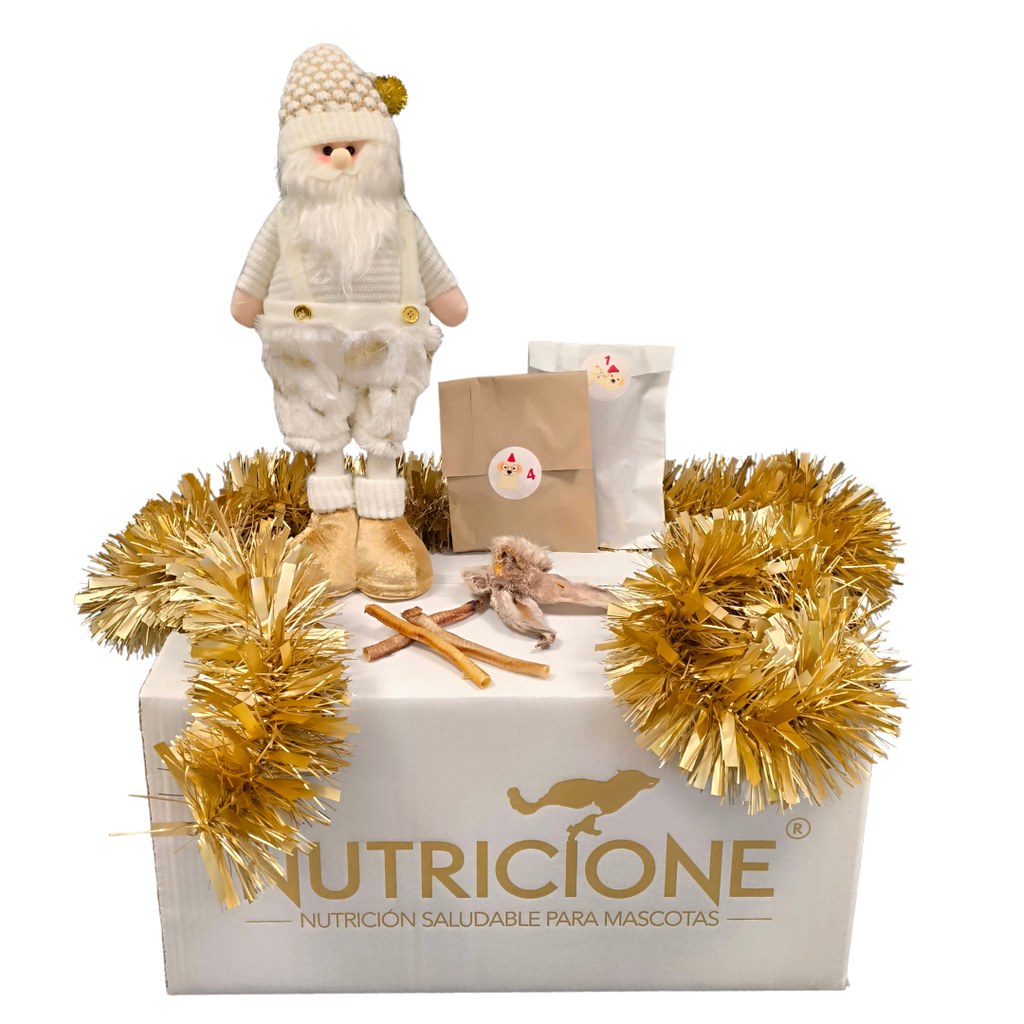 Calendario de Adviento Nutricione 2025 – 24 Días · 24 Sorpresas