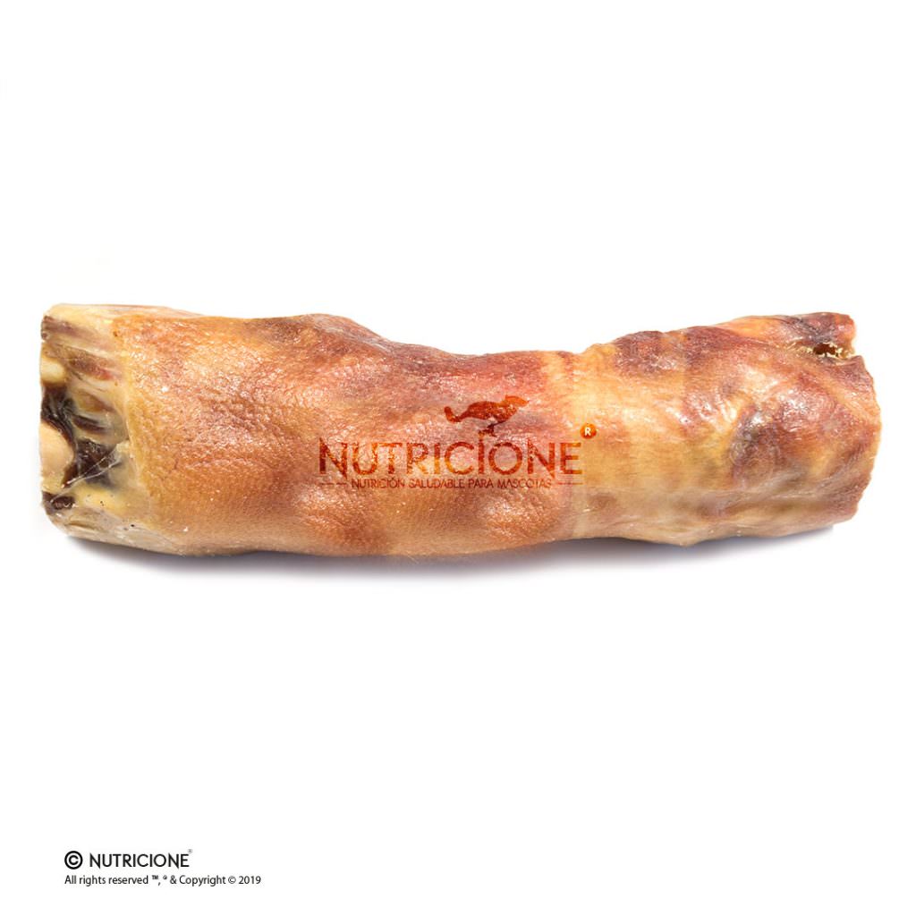 Nutricione
