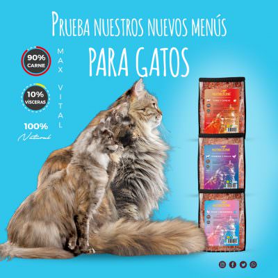 Menús completos para gatos
